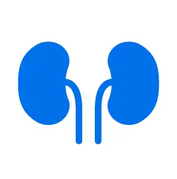 nephrology